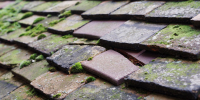 Little Staughton roof repair costs